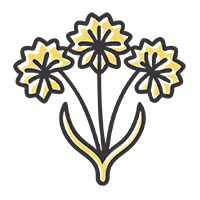 Избавим от борщевика